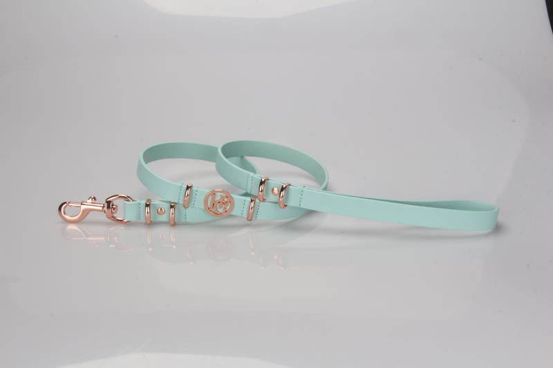 Leather Dog Lead (only) - Aquamarine