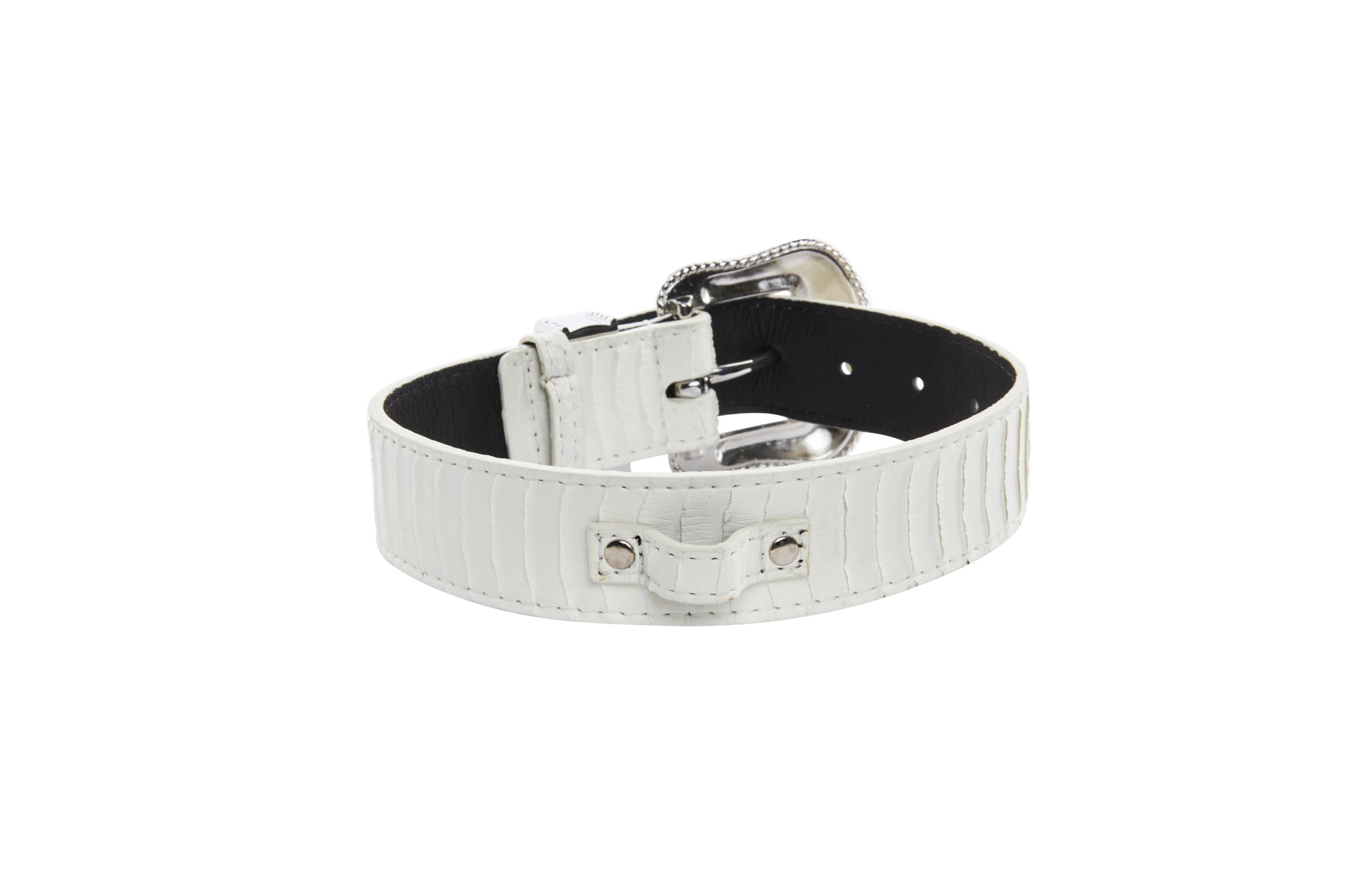 Matte White Snake Collar With Silver Swarovski Crystal Hardware Collar