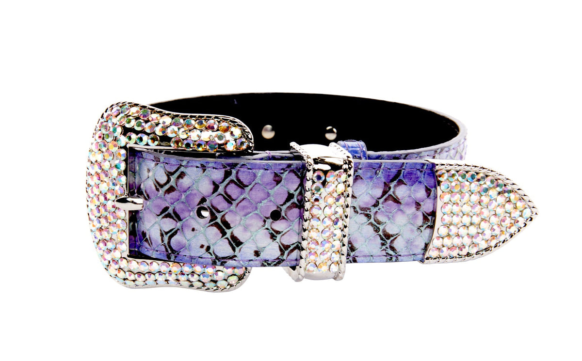 Allysa Payne Purple/Silver/Black Custom Iridescent Snake/Swarovski Crystal Dog Collar & Leash Set