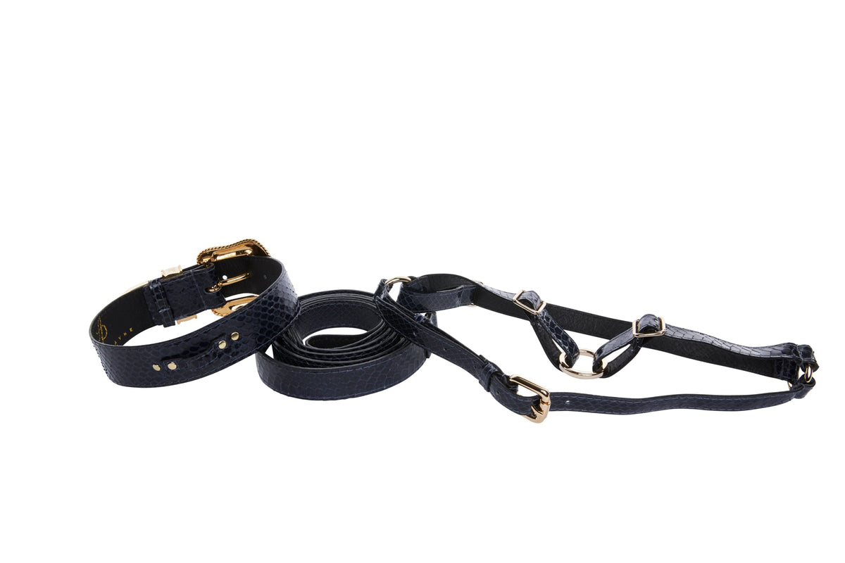 Allysa Payne Navy Blue Snake Swarovski Crystal Hardware Dog Collar, Leash & Harness Set