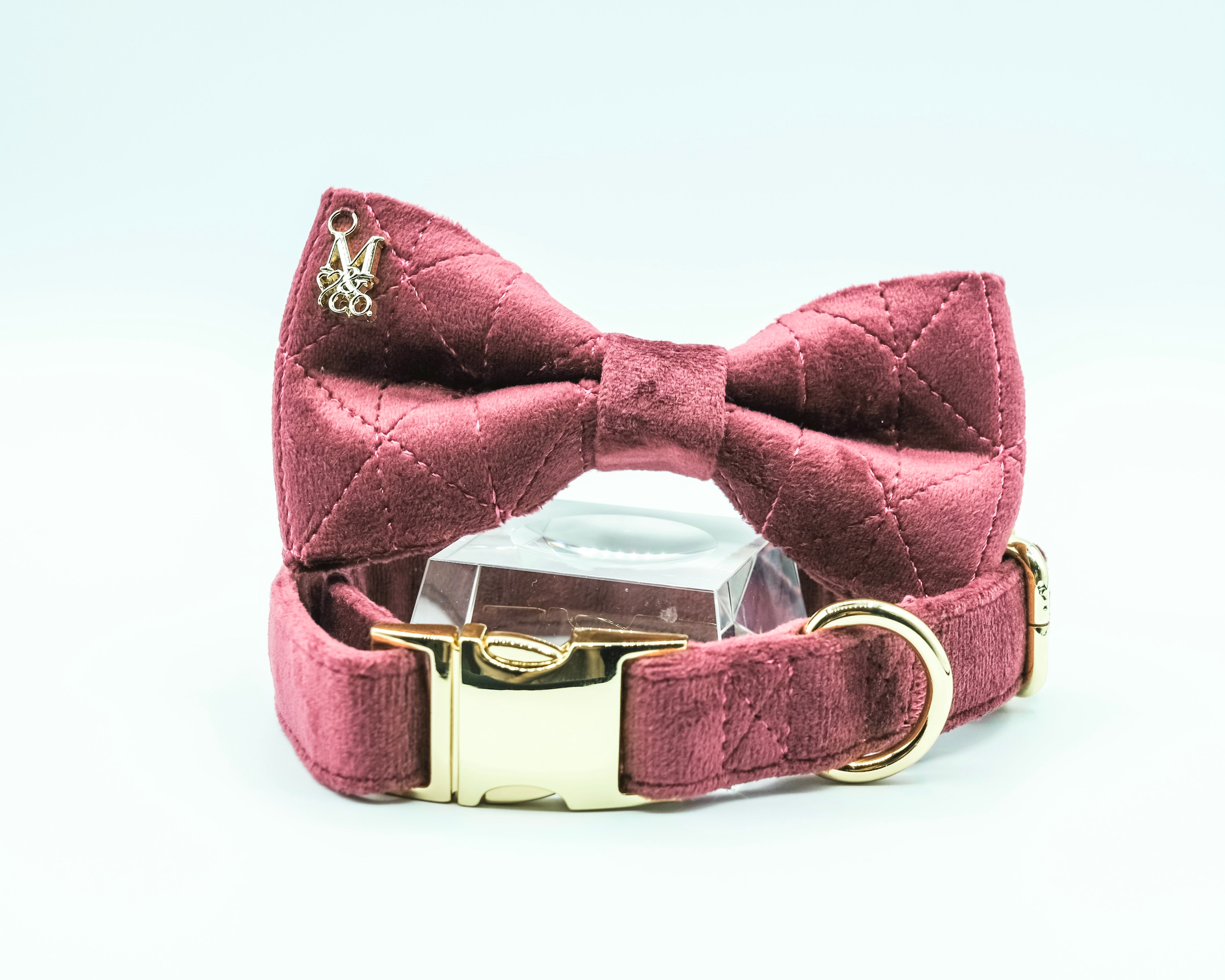 Velvet: Miss Maggie Bow Tie Collar