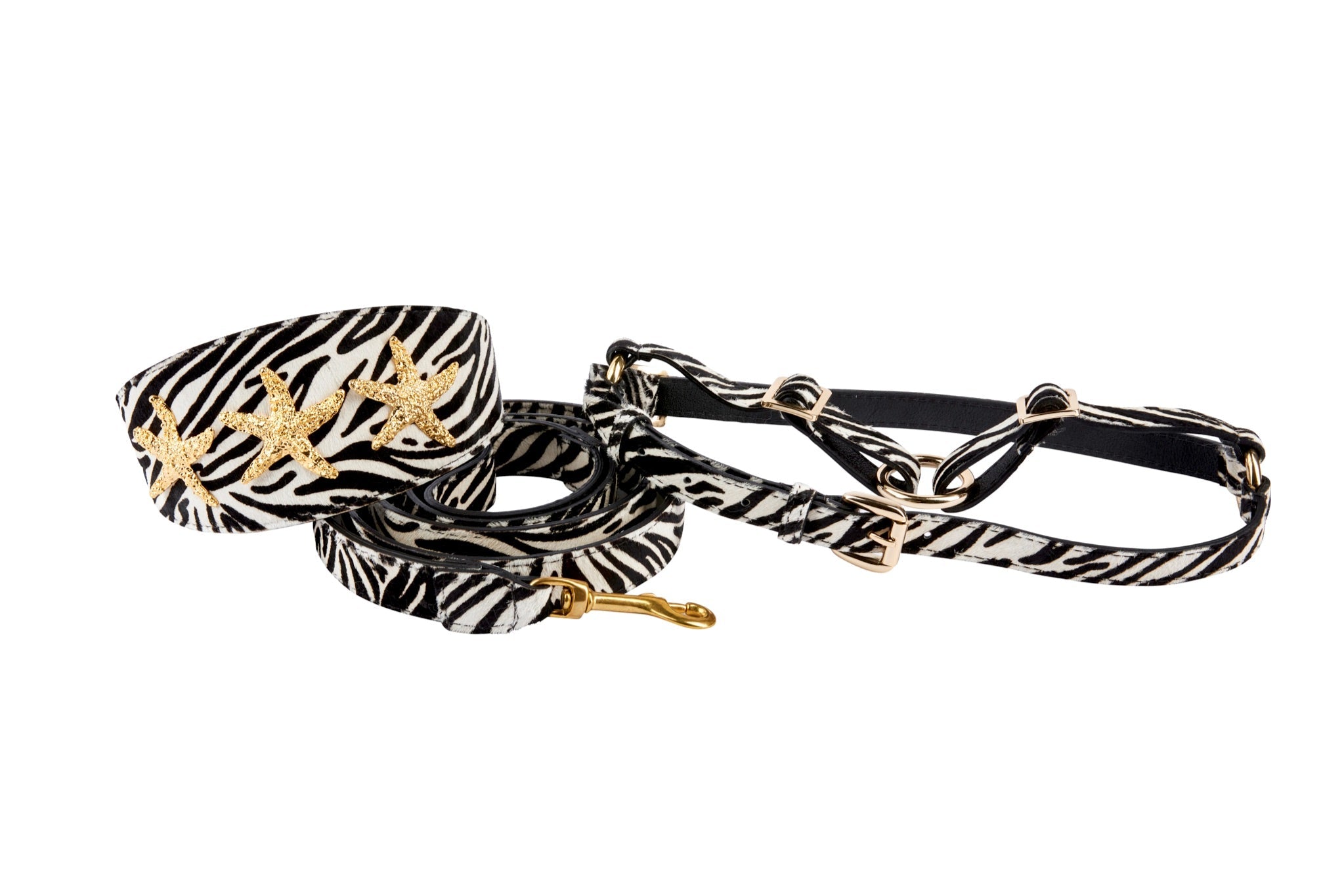 Zebra Print Hair On Hide Italian Leather 3” Wide Collar With Gold Starfish, Leash & Harness Set