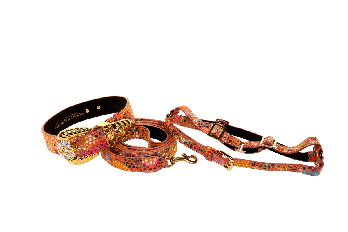 Allysa Payne Orange Floral Mosaic Italian Leather/Ornate Swarovski Crystal Hardware Dog Collar, Leash & Harness Set