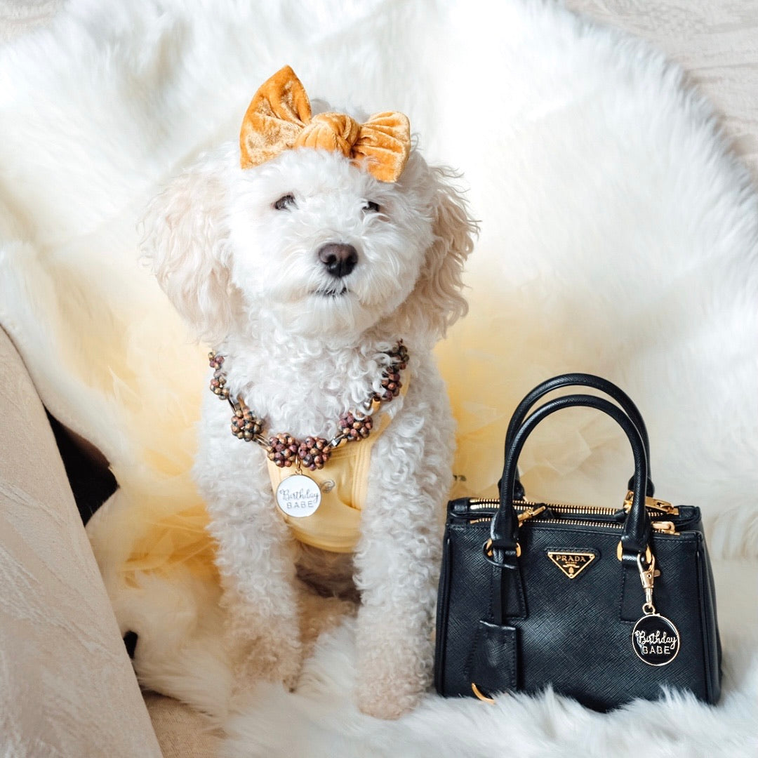 Charm: Birthday Charm (White)