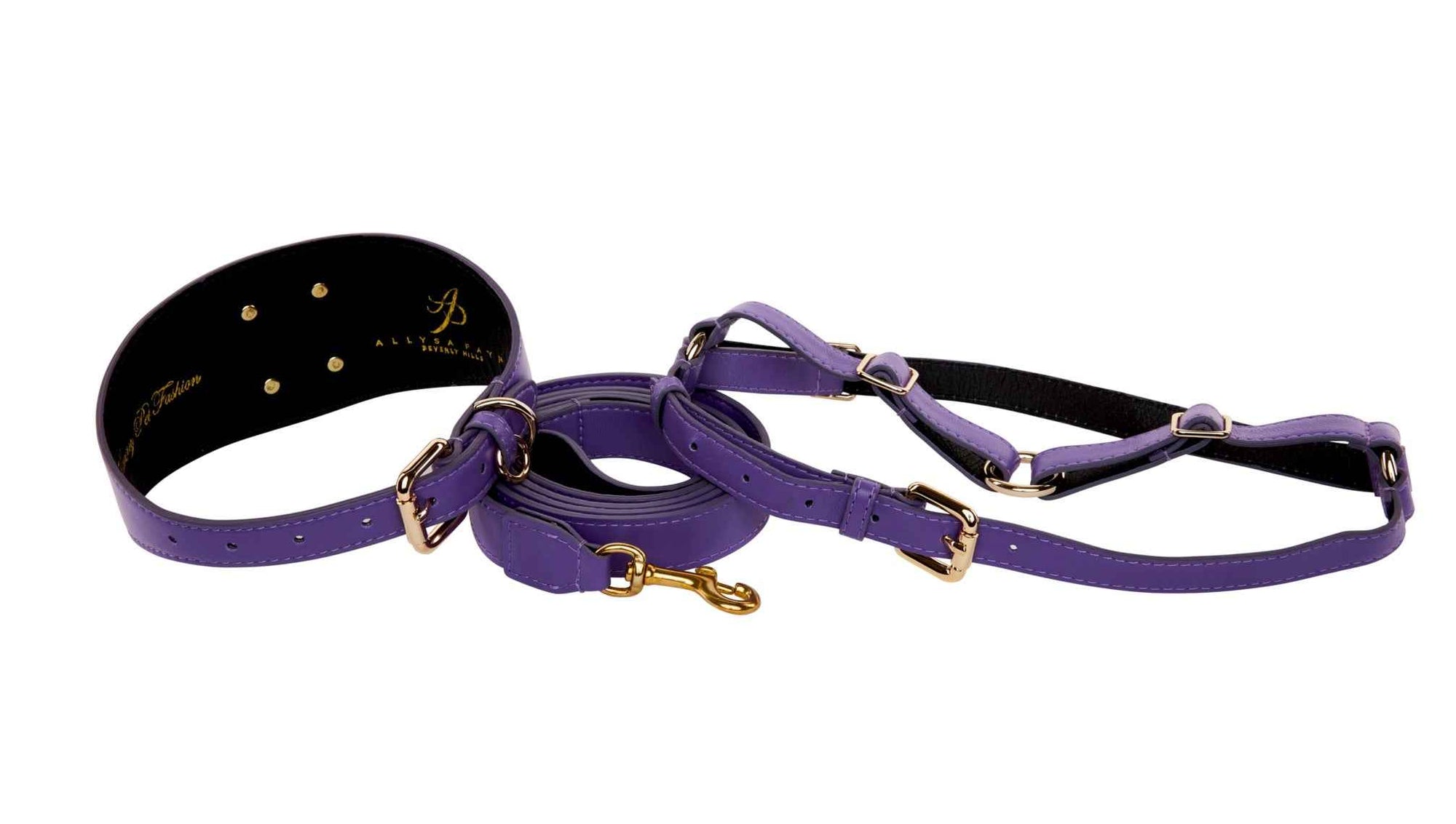Allysa Payne Purple Italian Leather 3-Inch Wide Style Dog Collar, Leash & Harness Set