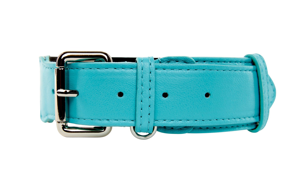 Allysa Payne Turquoise Blue Italian Leather Classic Dog Collar/Silver Classic Hardware