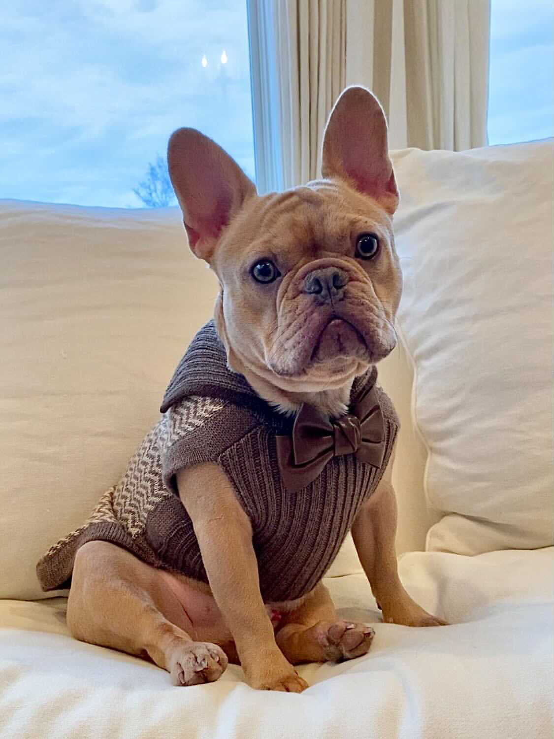 Leather Bow: Cocoa Bean