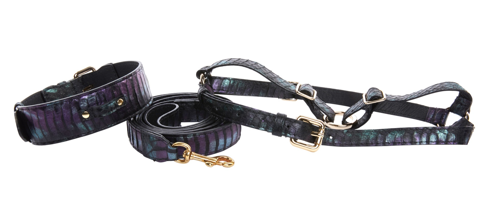 Allysa Payne Black, Green, Purple Snake Classic Dog Collar, Leash & Harness Set
