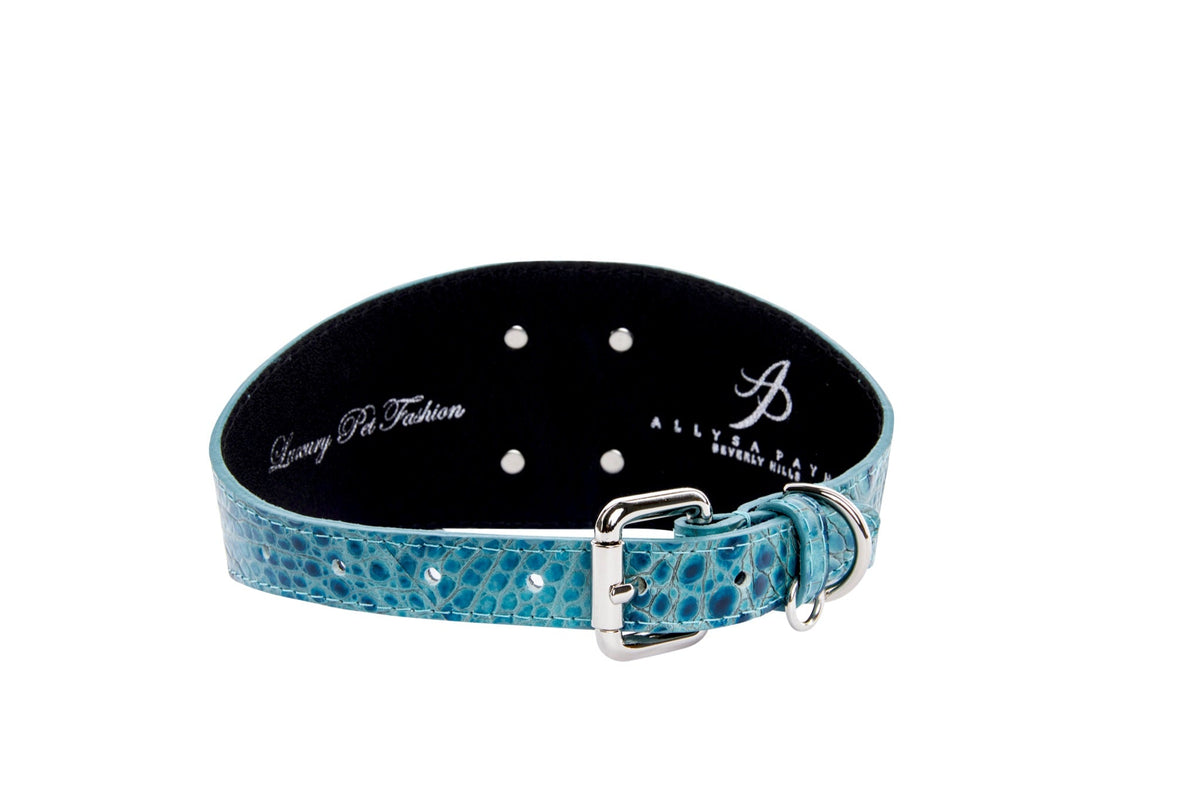 Allysa Payne Turquoise Embossed Croc Italian Leather 3-Inch Wide Style Dog Collar With Large Silver Custom Rivet