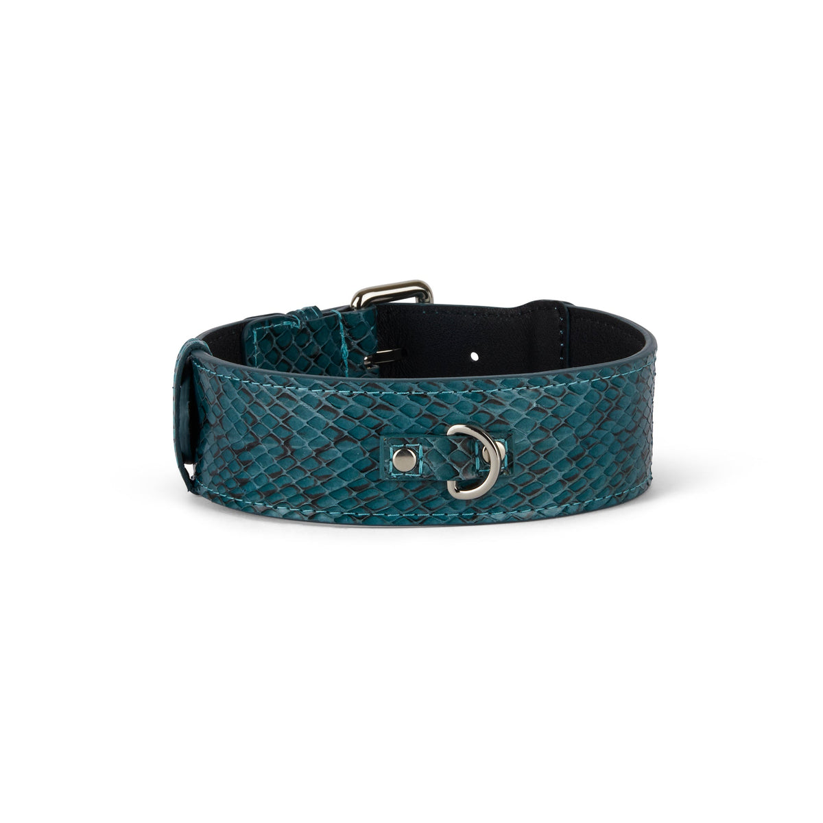 Allysa Payne Teal and Black Snake Classic Dog Collar
