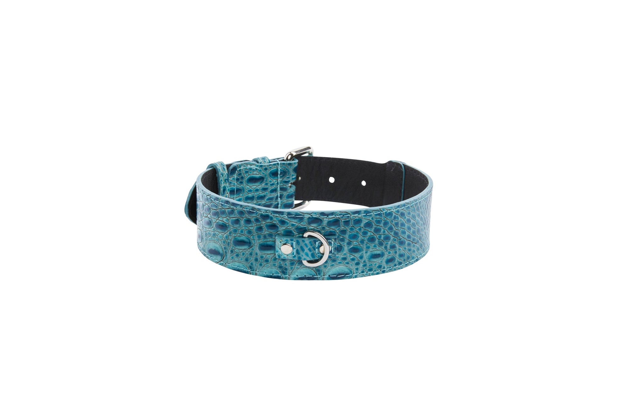 Allysa Payne Turquoise Embossed Croc Italian Leather With Silver Classic Hardware Dog Collar