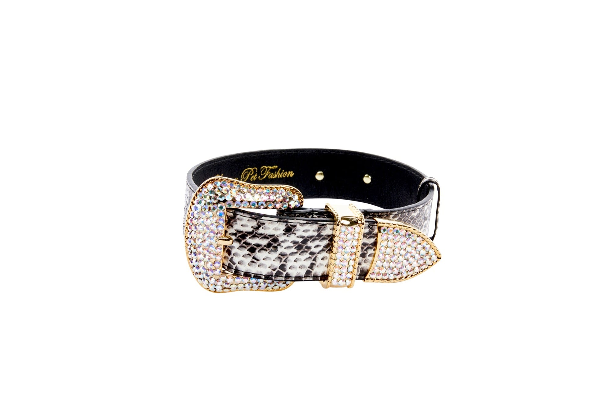 Allysa Payne Black & White Viper Snake Dog Collar With Gold Swarovski Crystal Hardware
