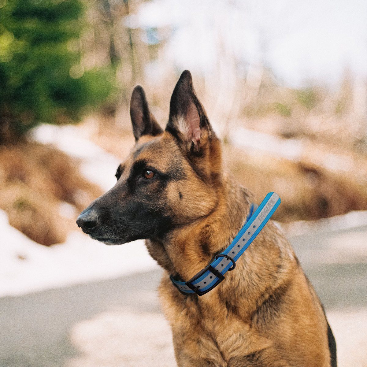 Dogline BioThane E-Collar Replacement Reflective Strap