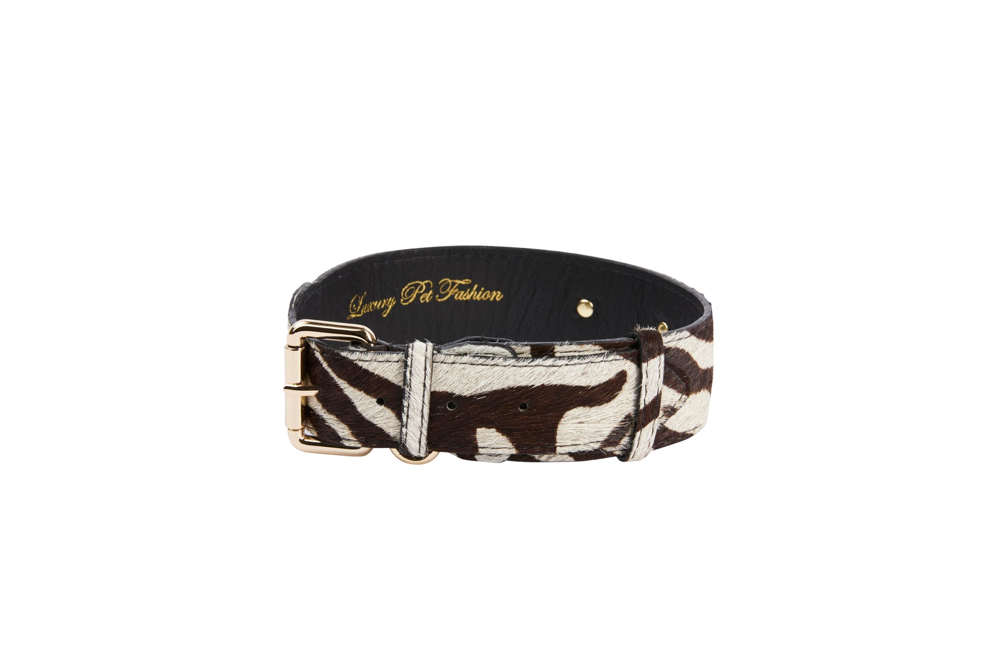 Distressed Brown & White Zebra Print Hair On Hide Classic Collar with Gold Classic Hardware