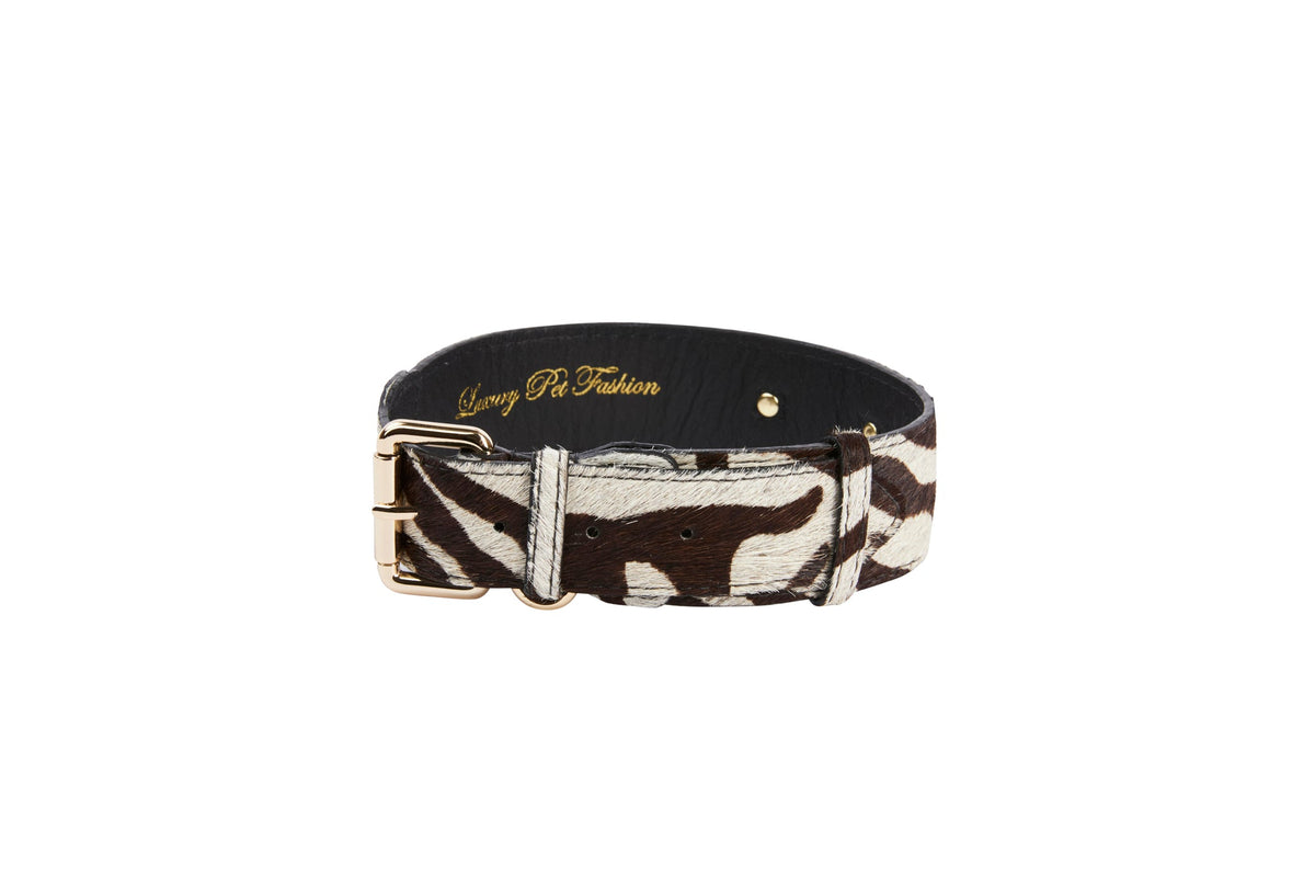 Allysa Payne Distressed Brown & White Zebra Print Hair On Hide Classic Dog Collar with Gold Classic Hardware