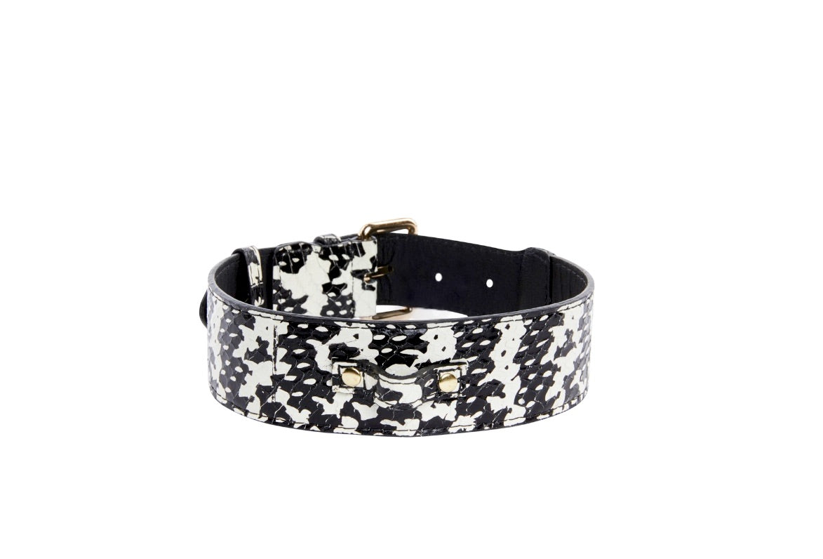 Allysa Payne Black & White Snake Dog Collar With Classic Gold Hardware