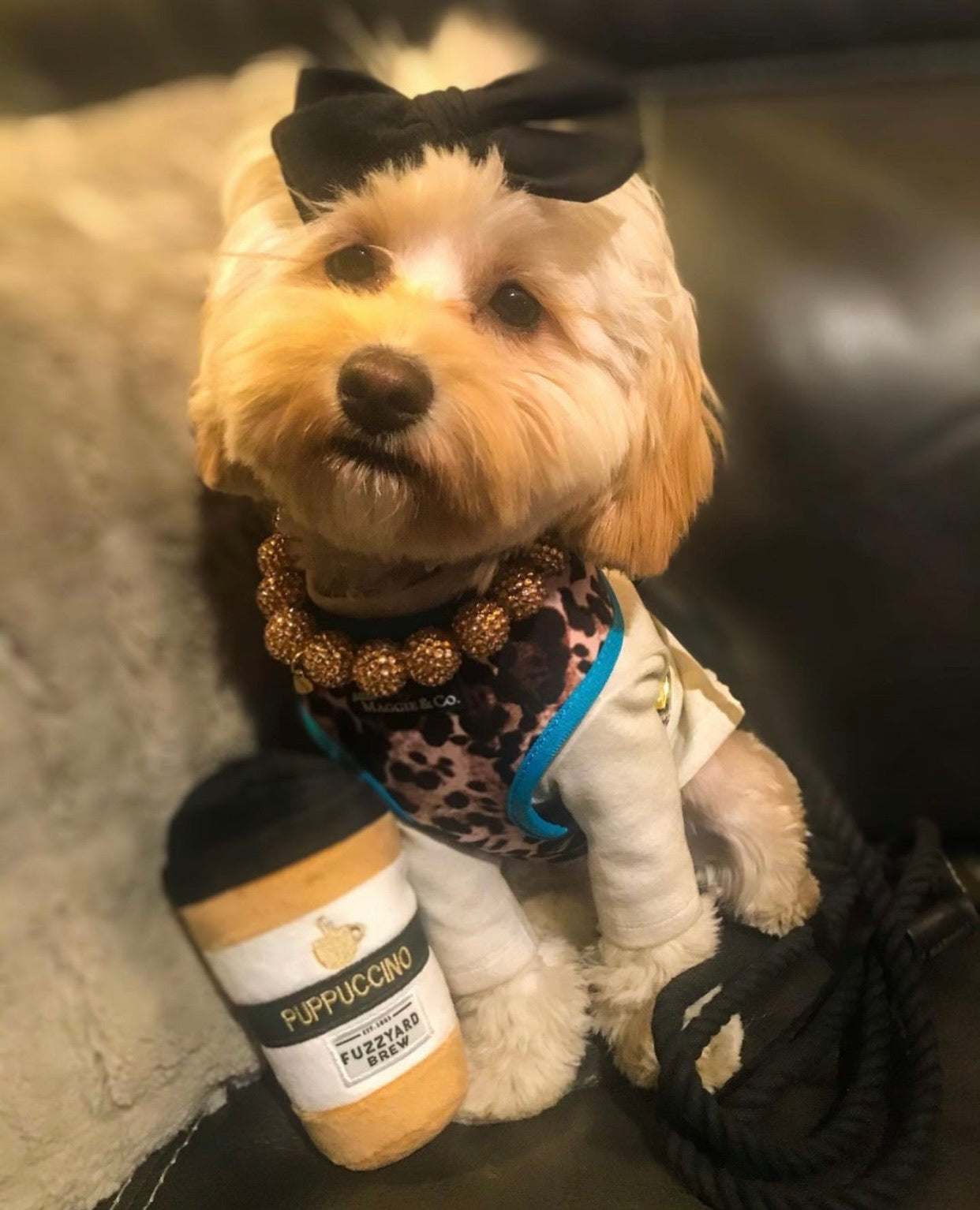 Exotic Reversible Harness