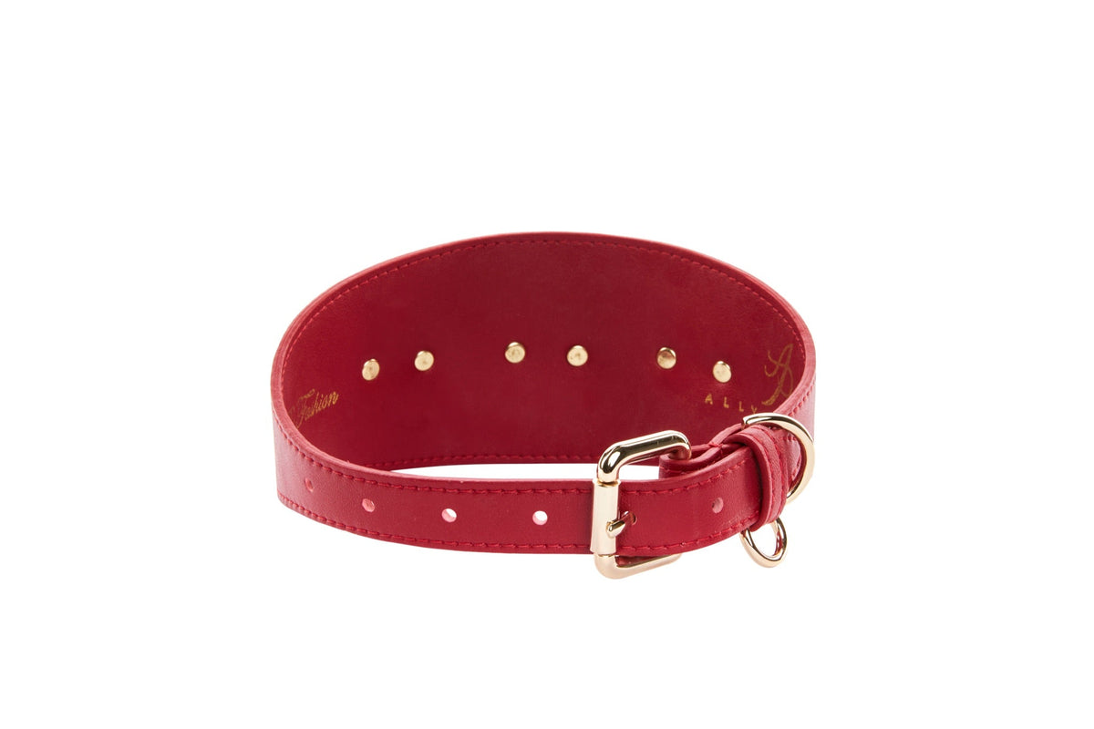 Allysa Payne Red Vegan Leather 3-Inch Wide Starfish Dog Collar