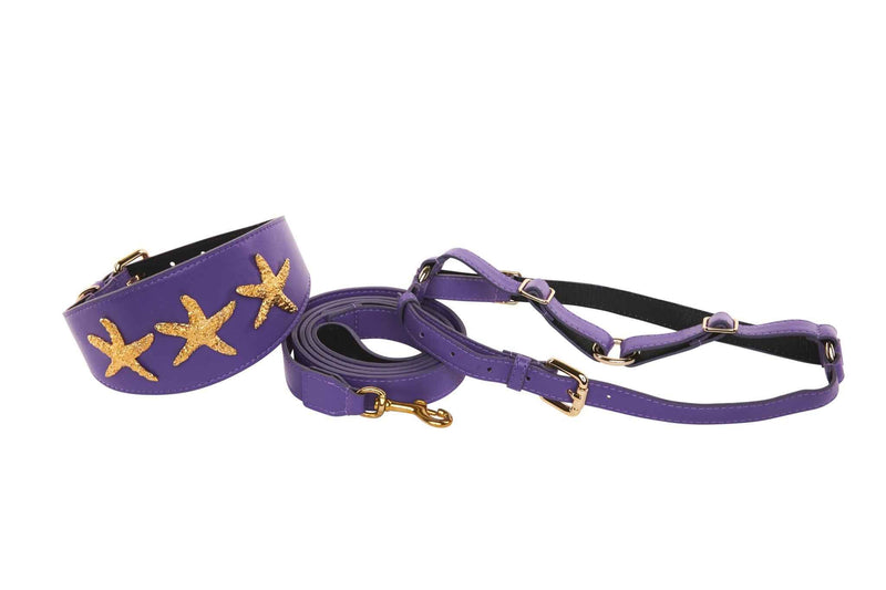 Allysa Payne Purple Italian Leather 3-Inch Wide Style Dog Collar, Leash & Harness Set