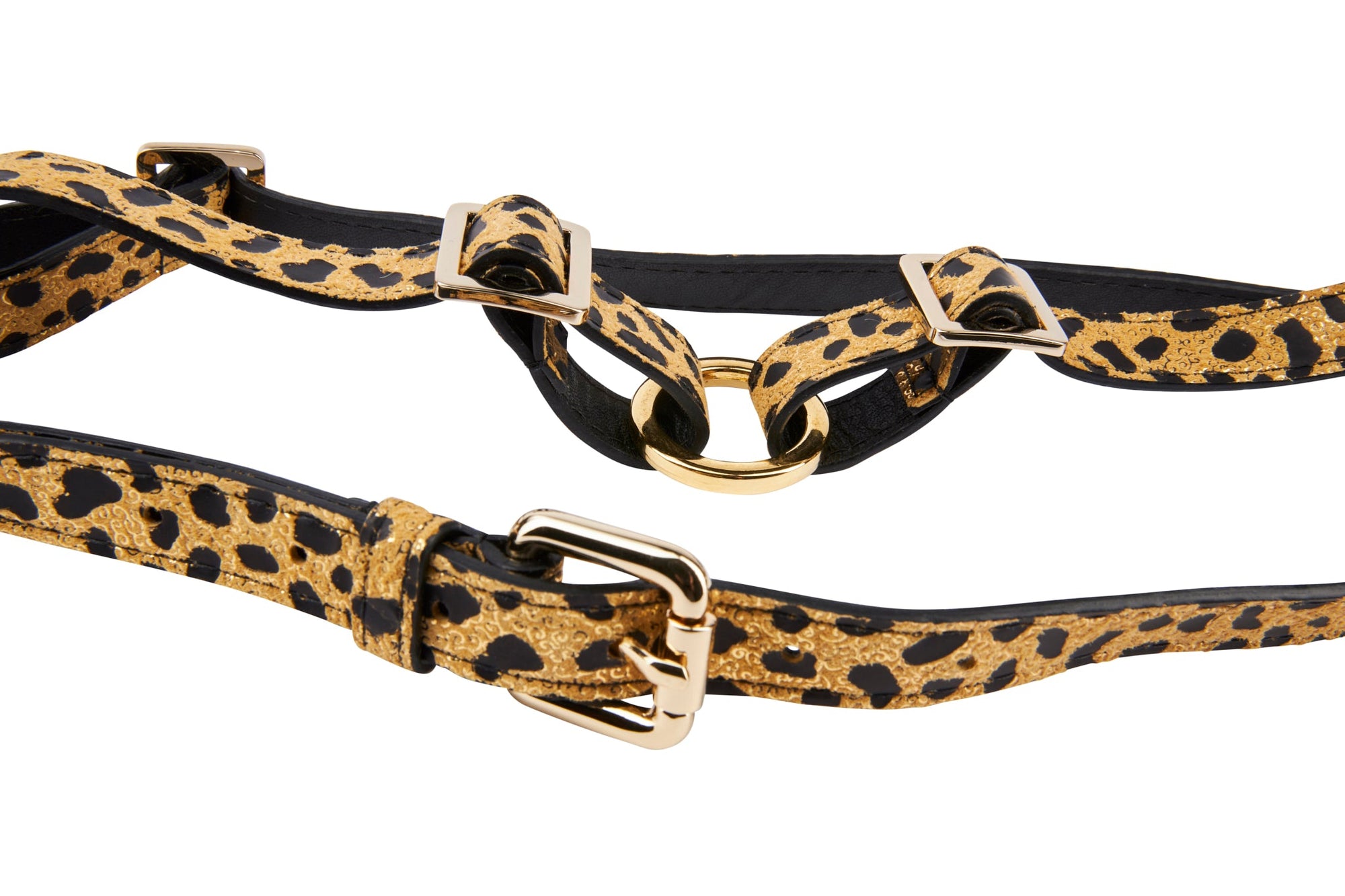 Allysa Payne Leopard Print Italian Leather Dog Harness