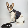 The Raven Dog Harness