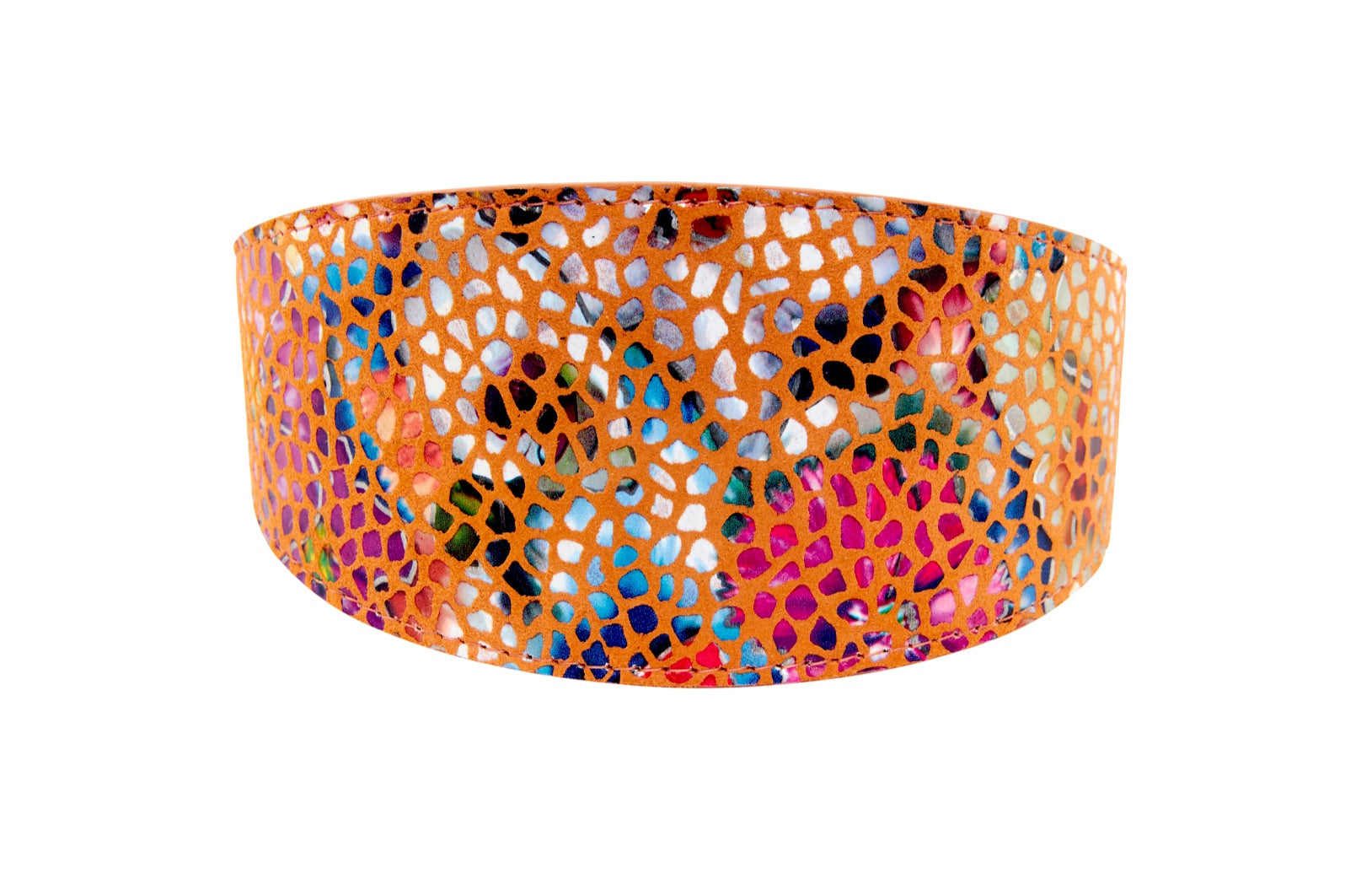 Allysa Payne Orange Floral Mosaic Italian Leather 3-Inch Wide Style Dog Collar