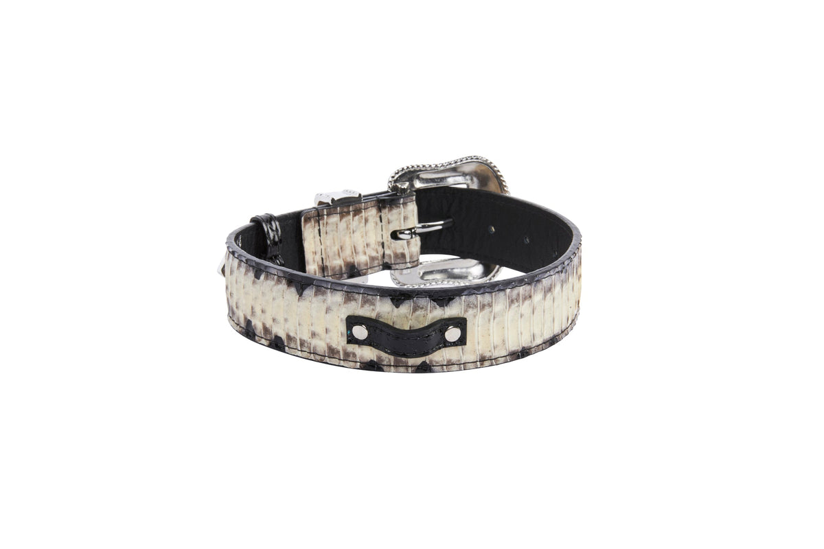 Allysa Payne Off White/Grey/Black Snake With Silver Swarovski Crystal Hardware Dog Collar