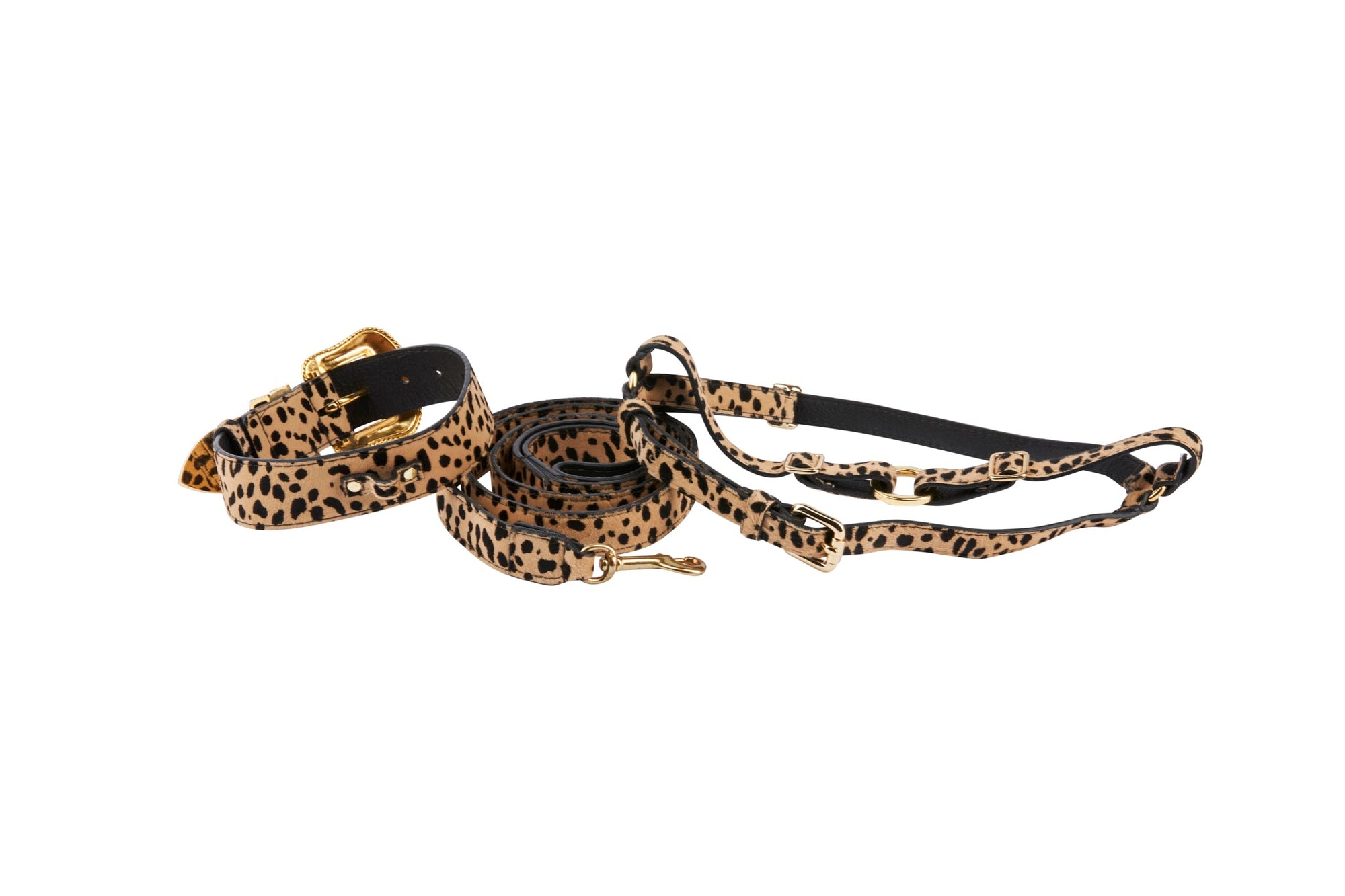 Allysa Payne Classic Leopard Print Hair On Hide Italian Leather Swarovski Crystal Dog Collar, Leash & Harness Set