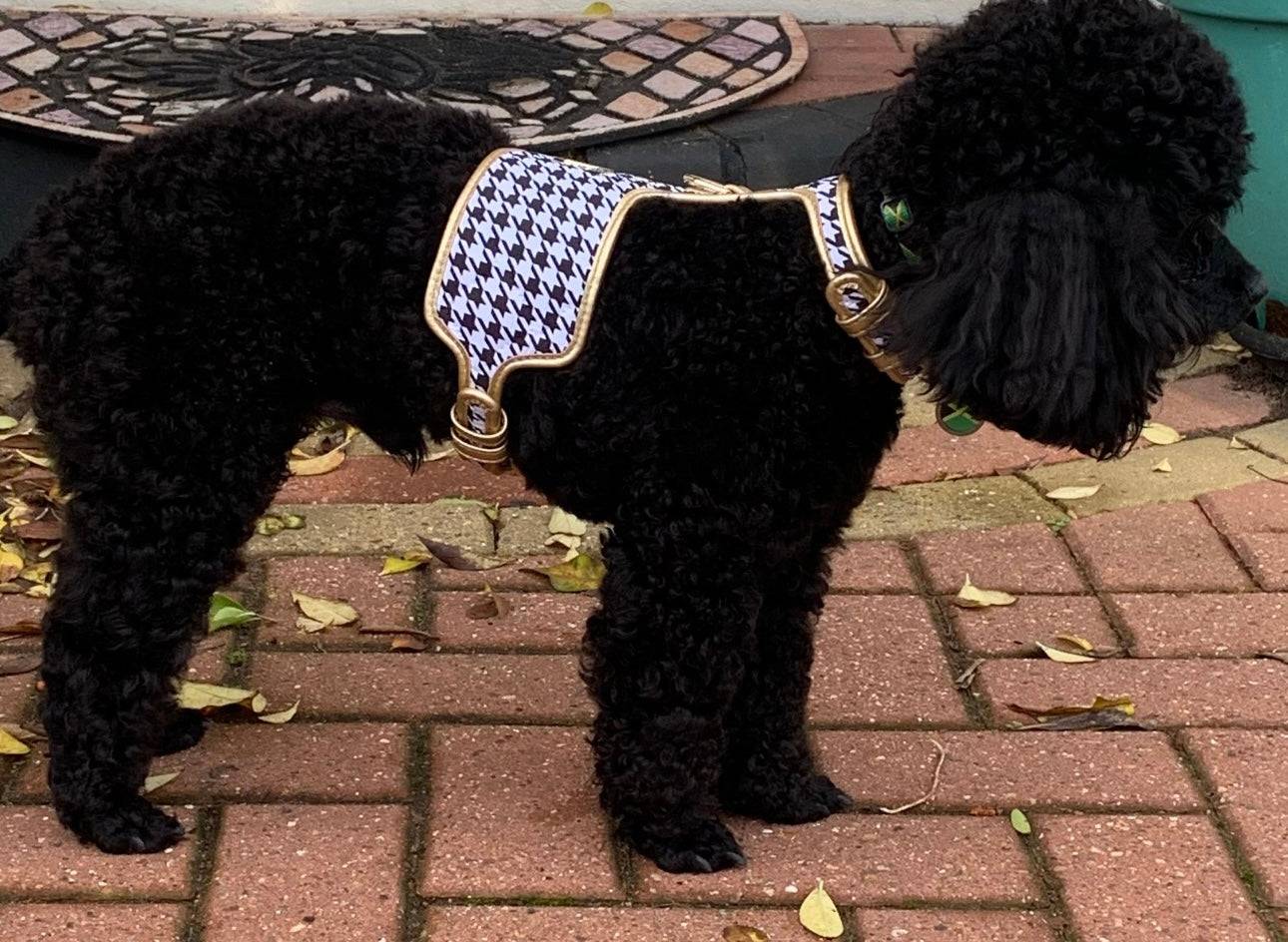 The Houndstooth Dog Harness