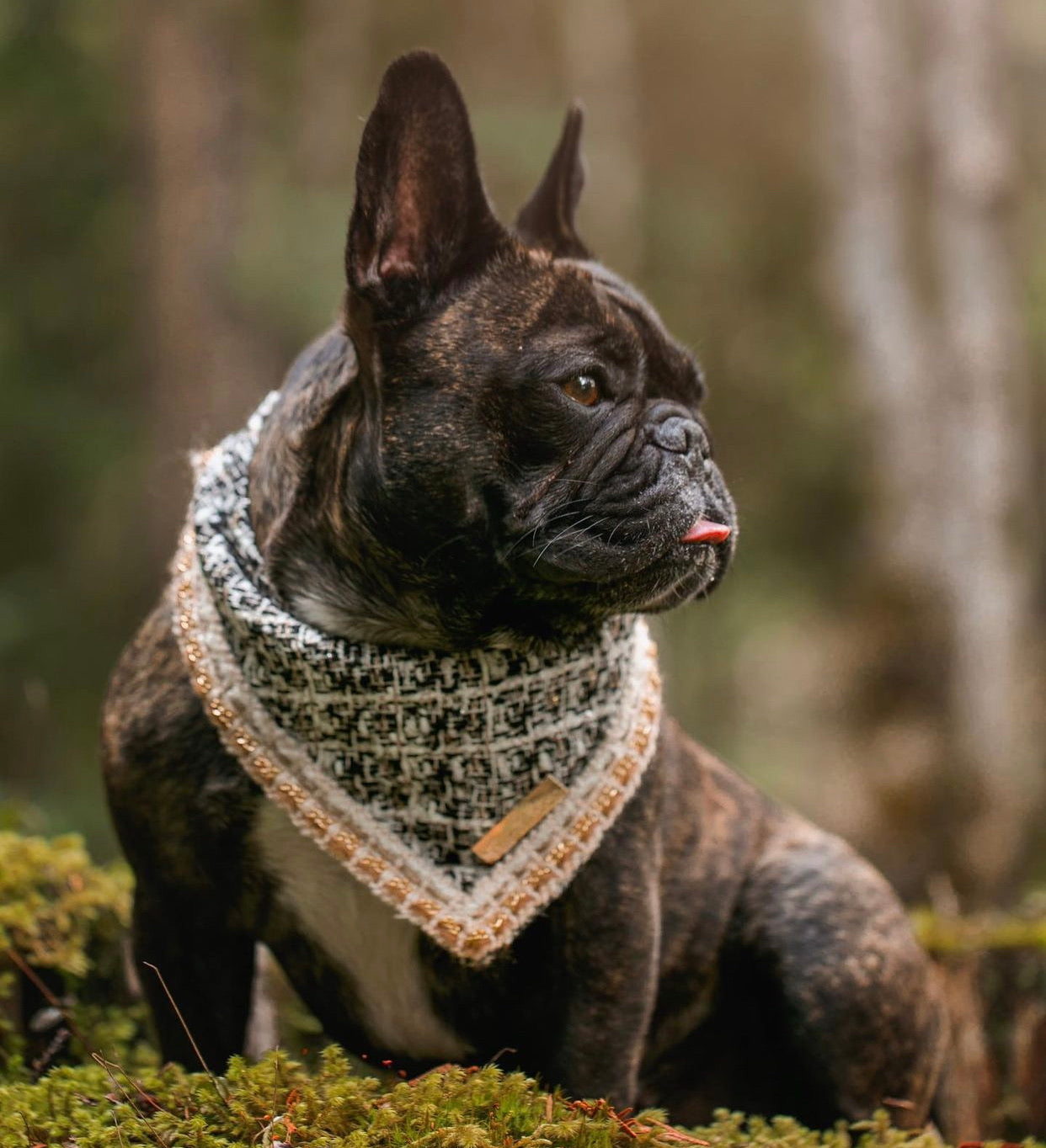 Vogue: The Loulou