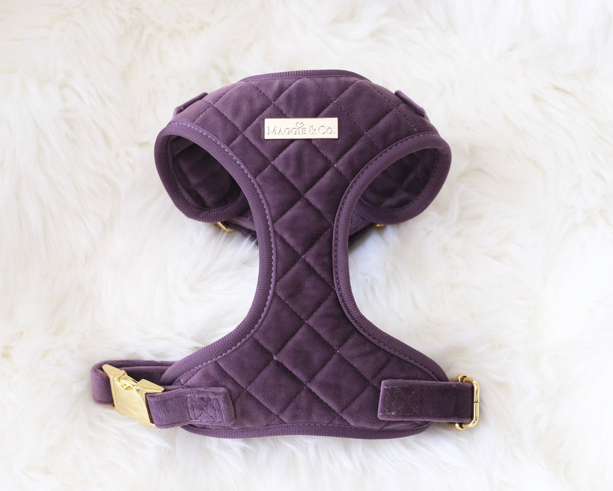 Velvet: The Susana Harness