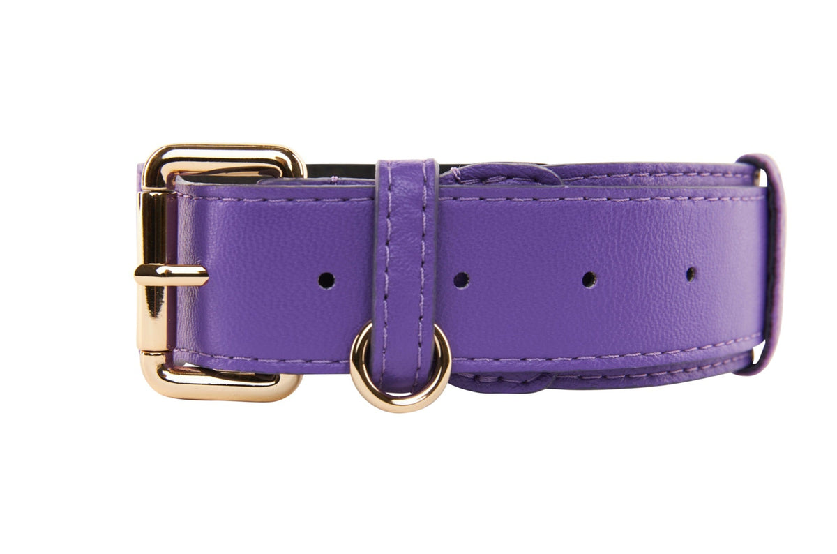 Allysa Payne Purple Italian Leather Classic Dog Collar