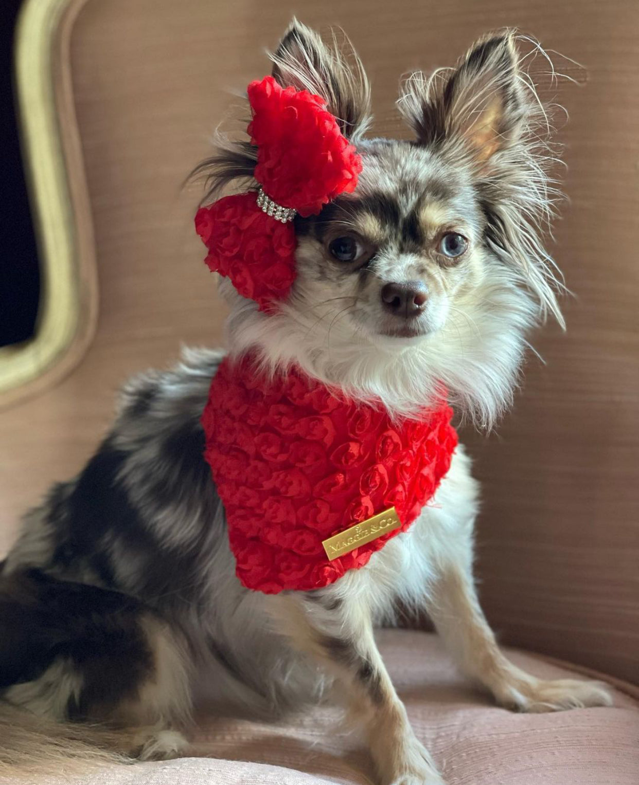 Forever Bliss: Scarlet