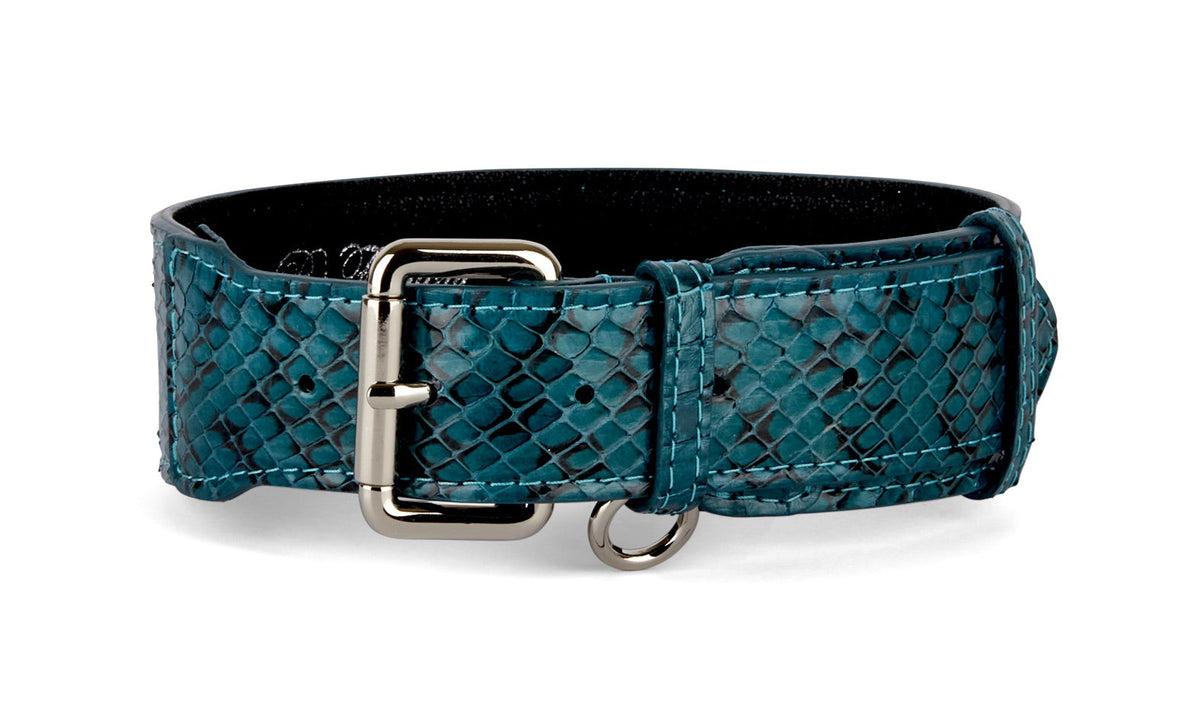 Allysa Payne Teal and Black Snake Classic Dog Collar