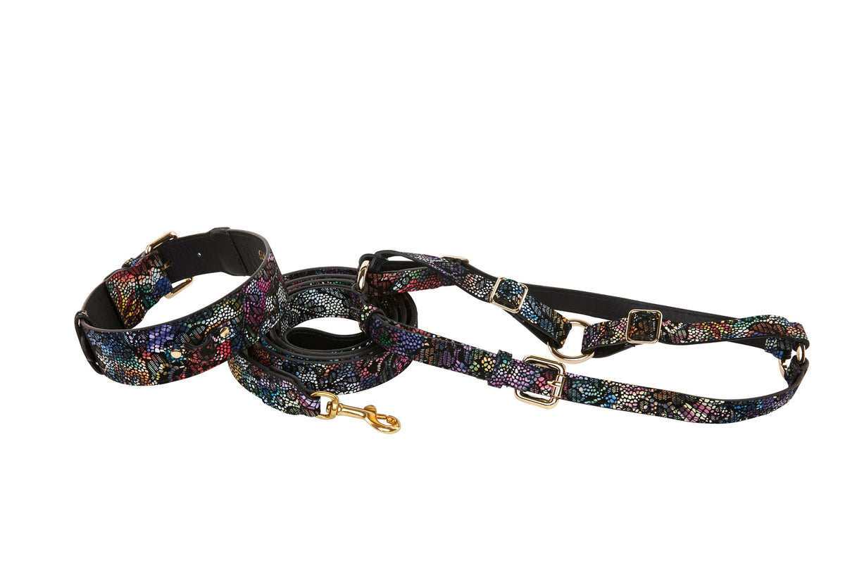 Allysa Payne Floral/Lace Embossed Italian Leather Classic Dog Collar, Leash & Harness Set