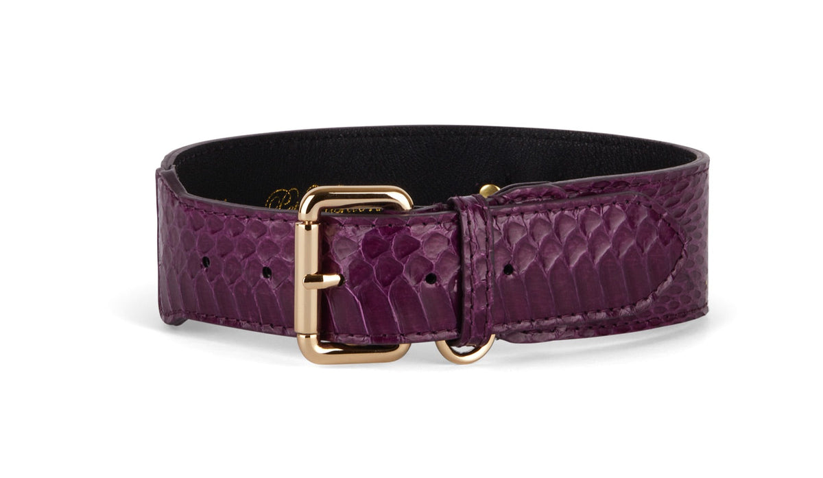 Allysa Payne Eggplant Purple Snake Classic Dog Collar