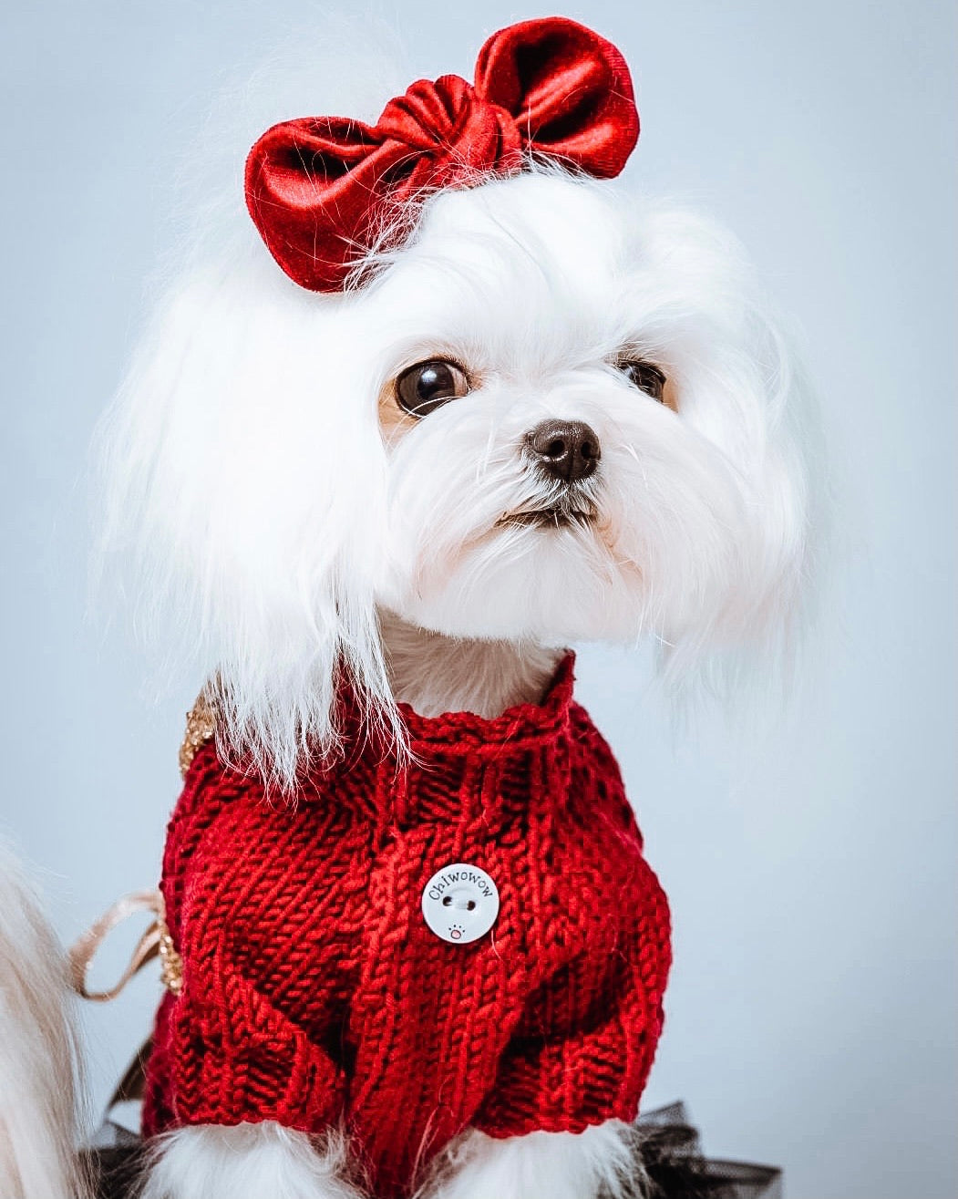 Velvet Bow: Ruby Red