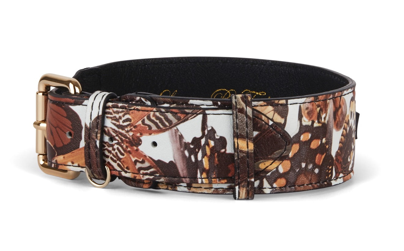 Butterfly Print Italian Leather Classic Collar