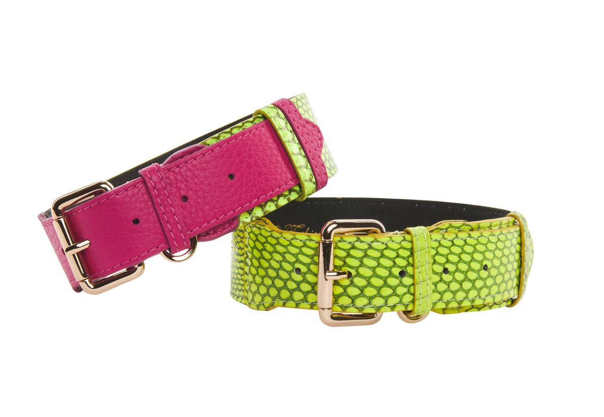 Allysa Payne Fuchsia Pink Italian/Neon Green Snake Classic Dog Collar & Neon Green Snake Classic Collar Set Of 2
