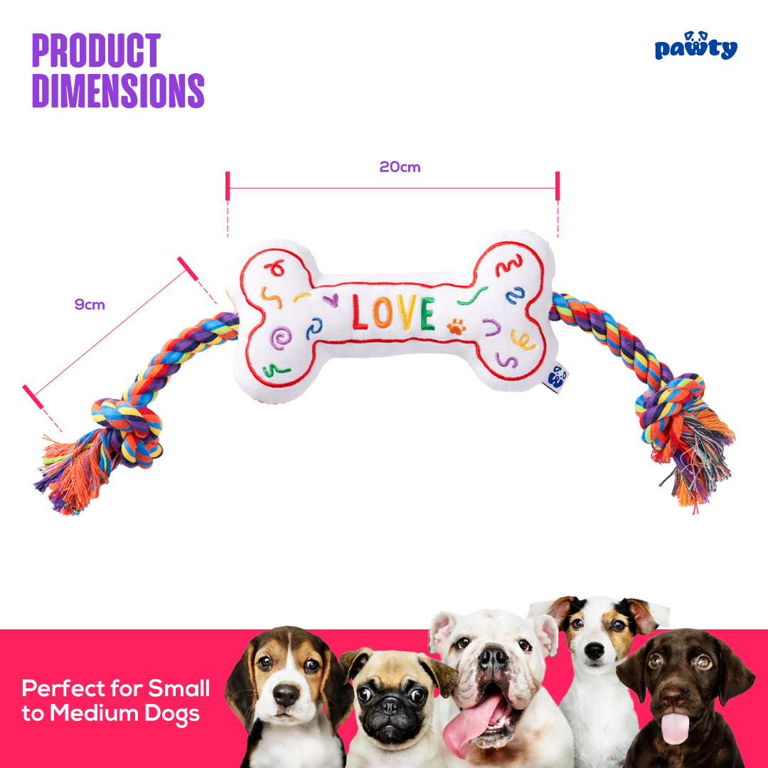 Pawty Love Bone Rainbow Plush Dog Toy