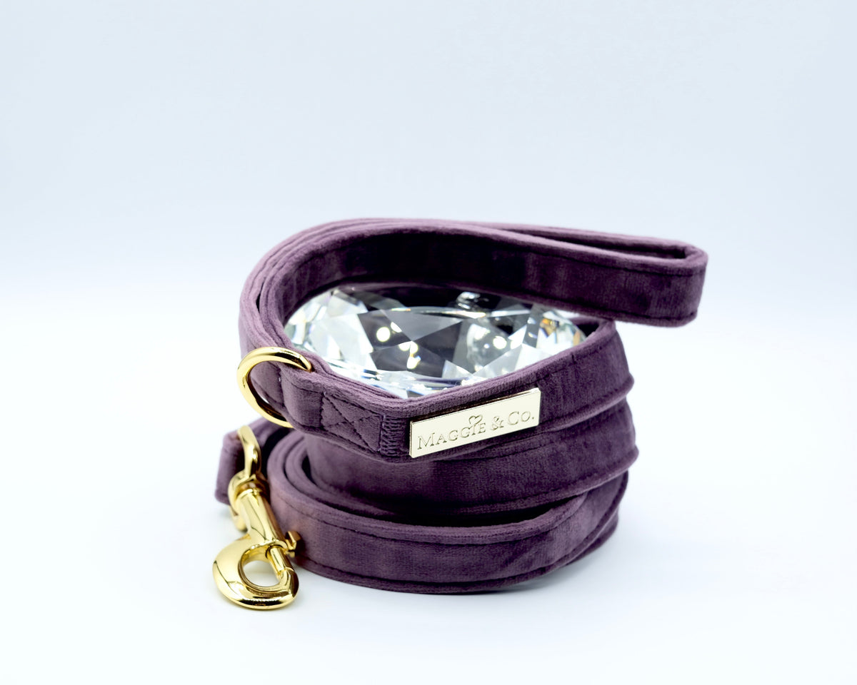 Velvet: The Susana Leash