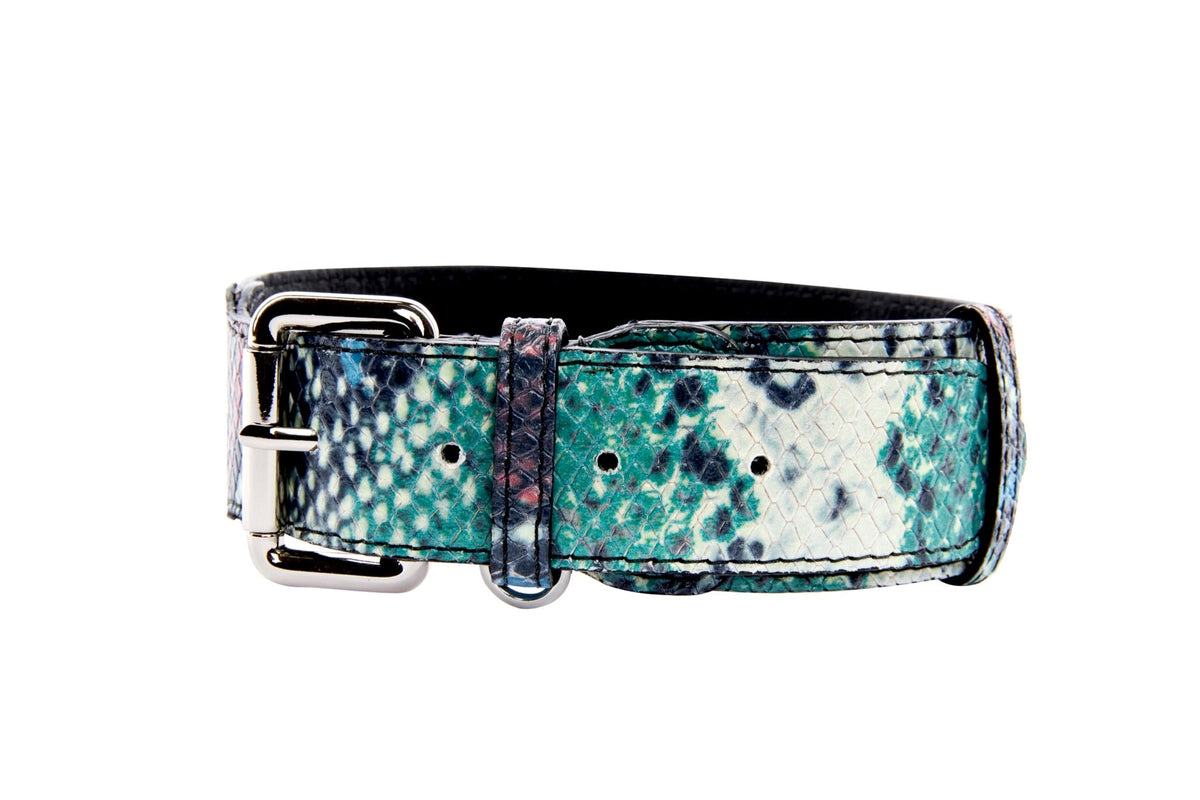 Allysa Payne Green, Blue, Black, Red Embossed Snake Italian Leather Dog Collar With Gold Classic Hardware