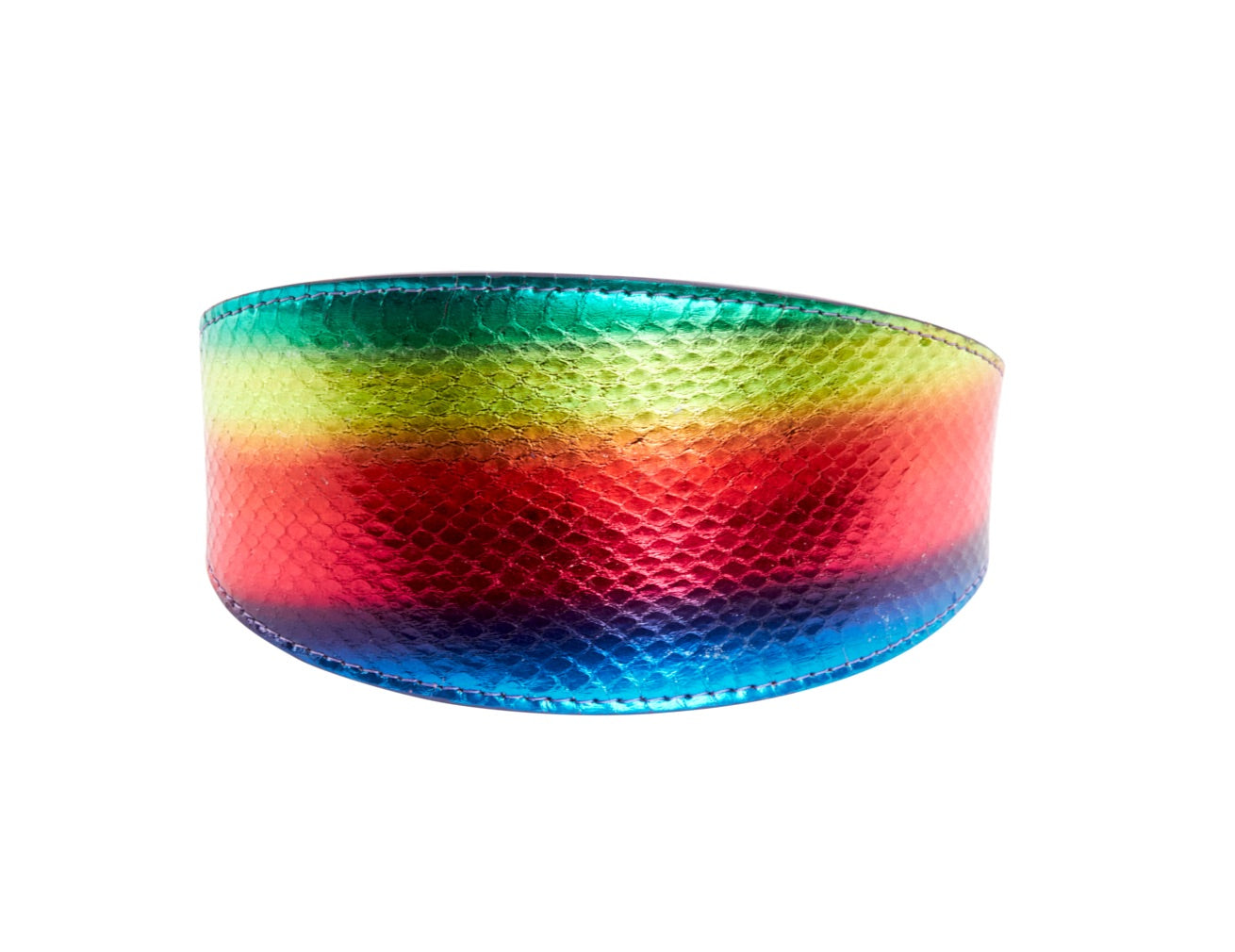 Pride Collection. Rainbow Snake 3" Wide Style Collar