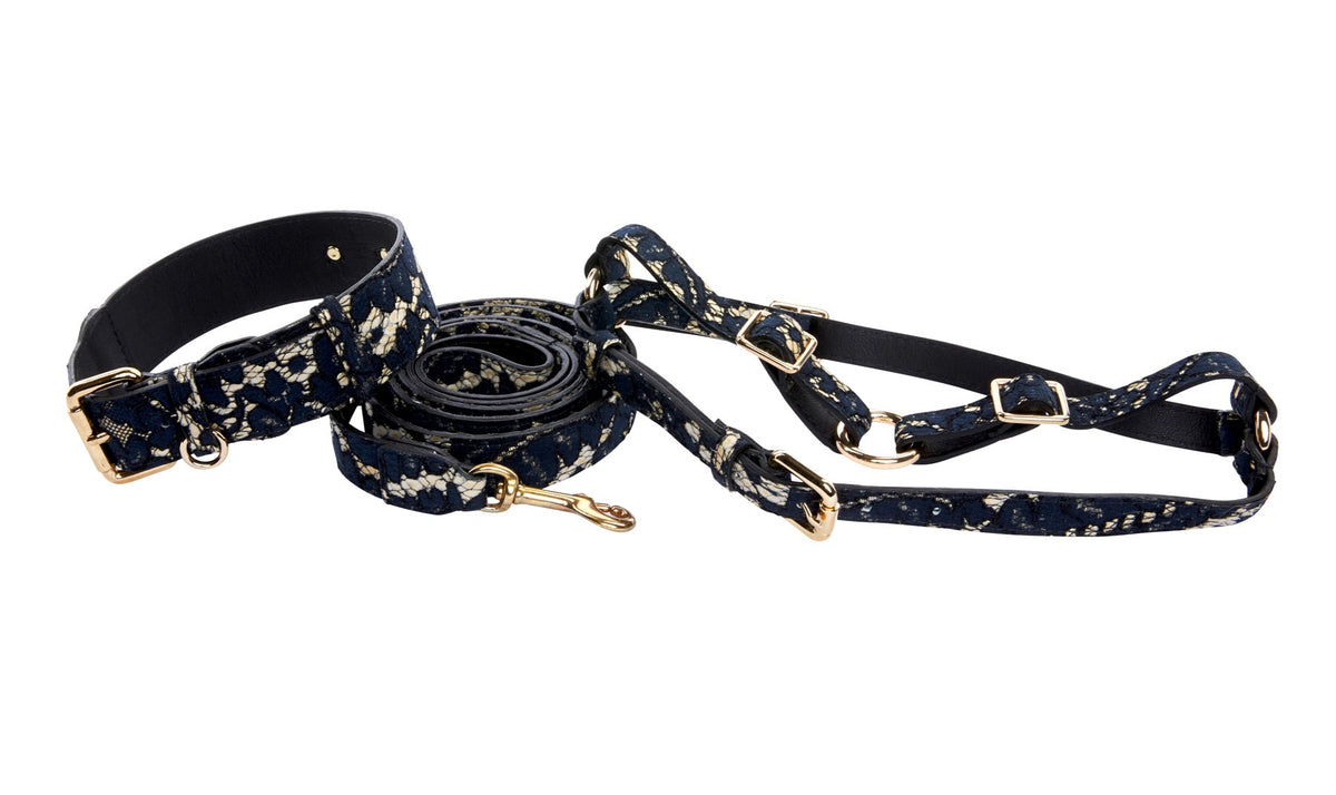 Allysa Payne Dark Navy Lace On Gold Italian Leather Classic Dog Collar, Leash & Harness Set