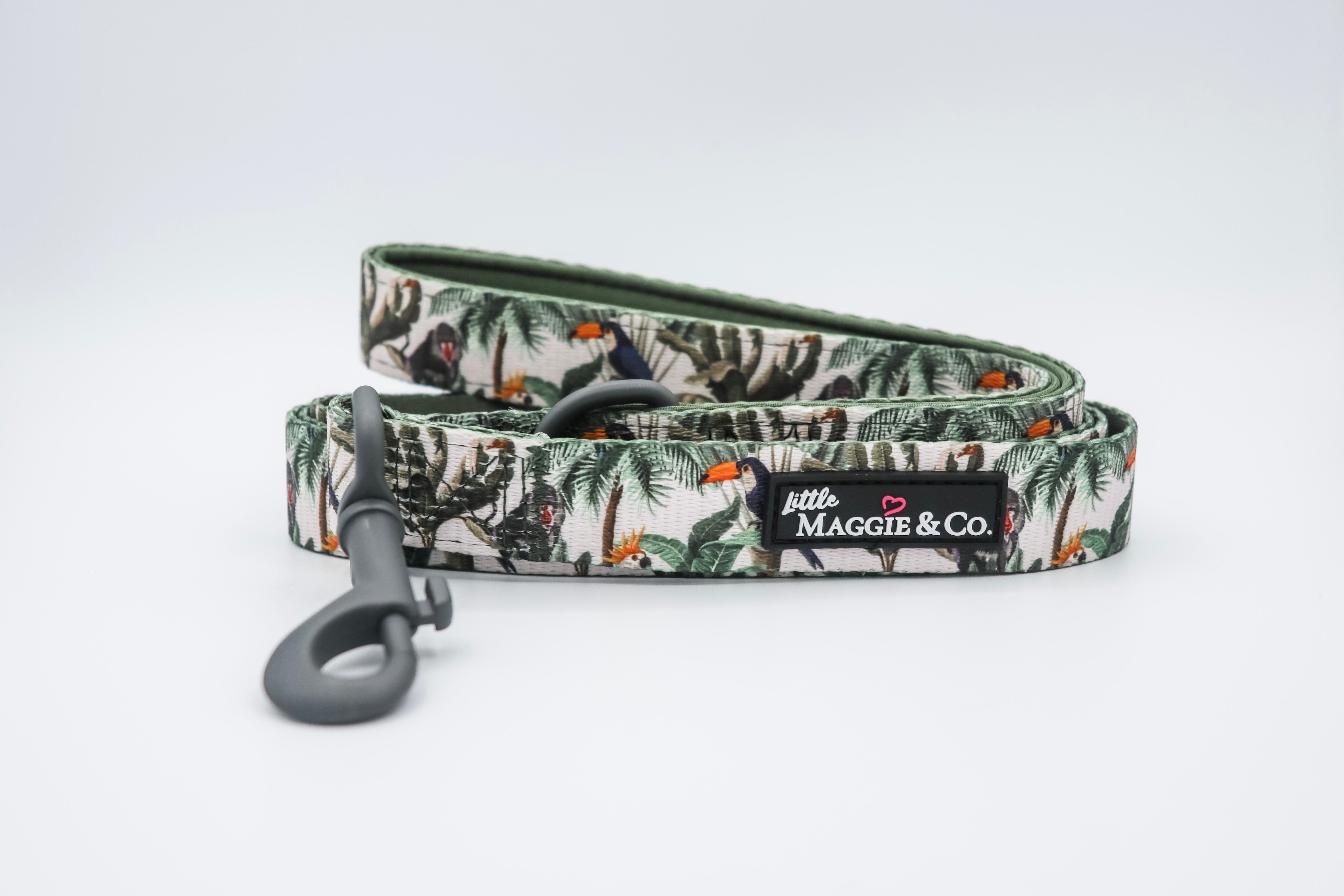 Into the Wild Leash