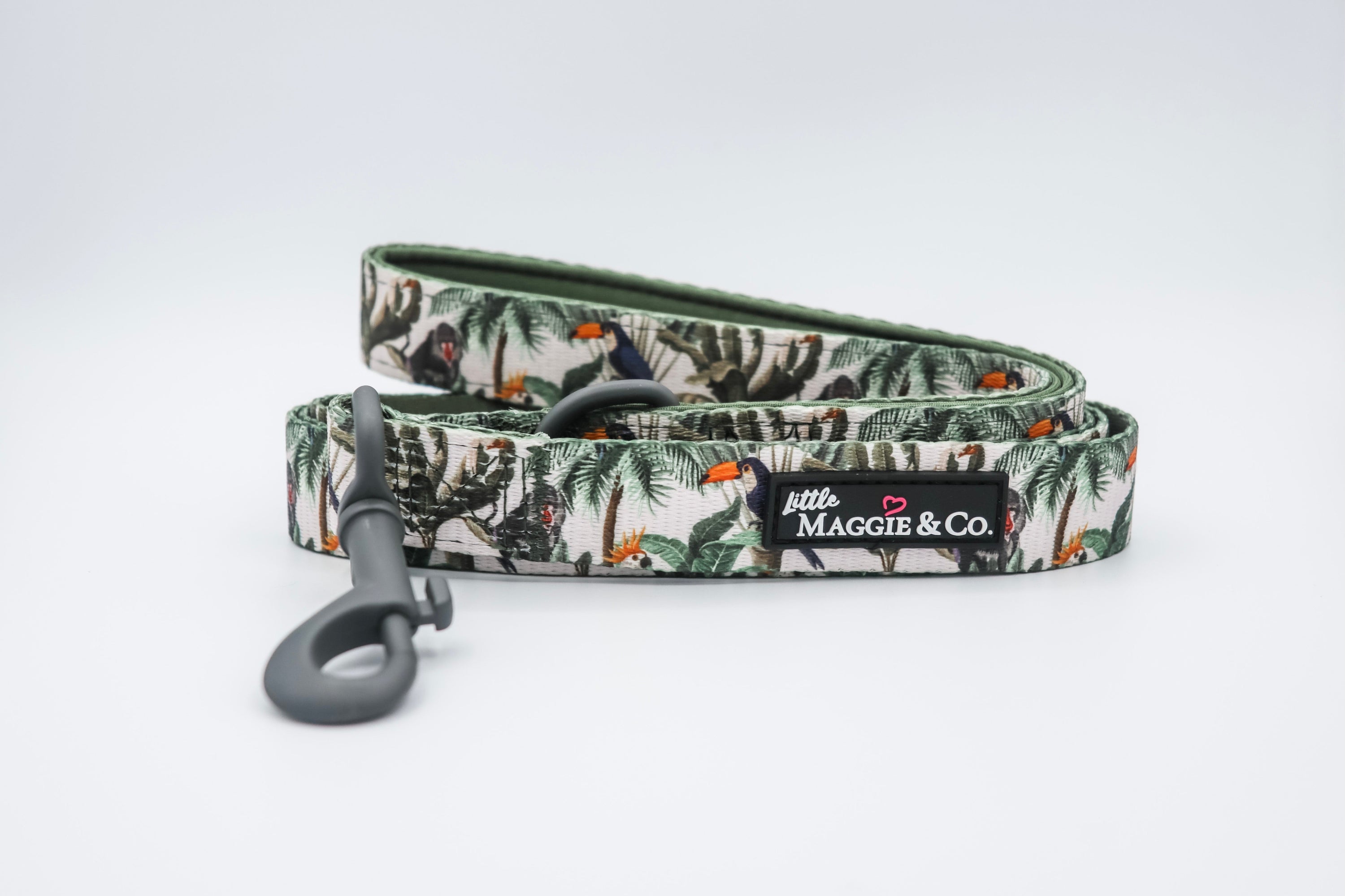 Into the Wild Leash