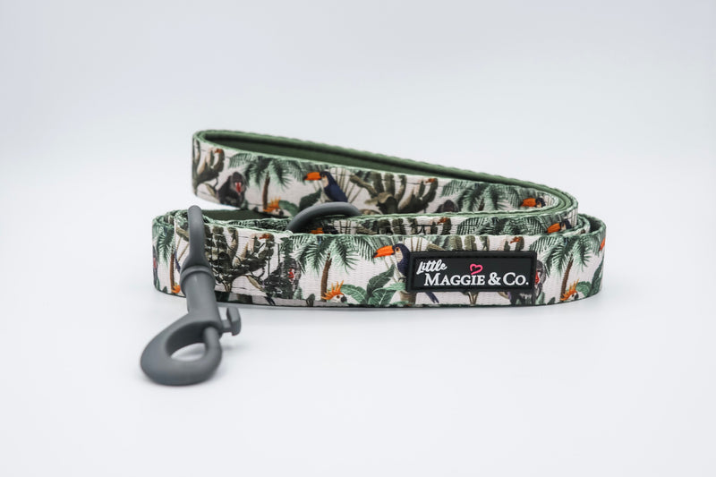 Into the Wild Leash