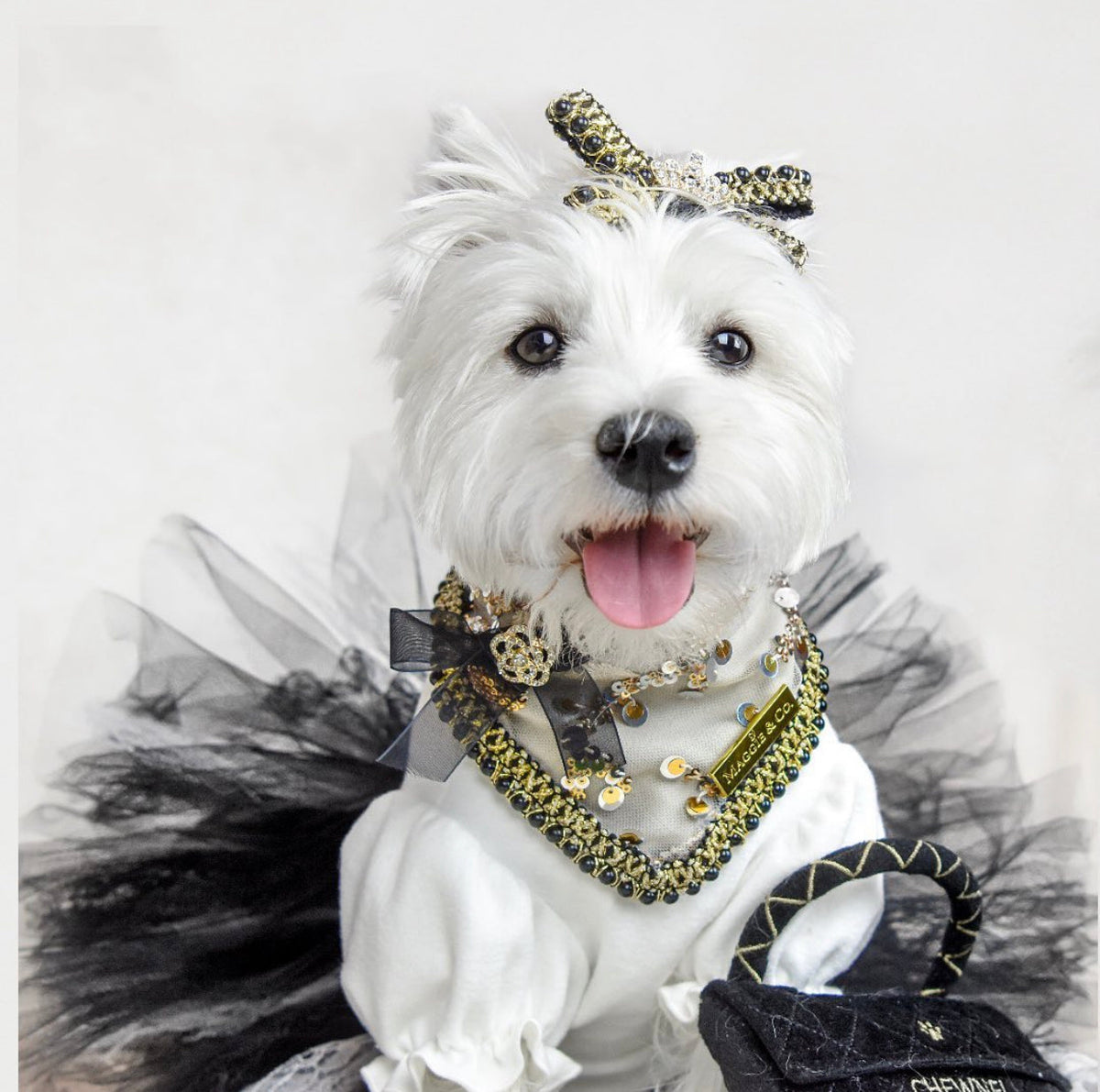 Celebrations : The Mia