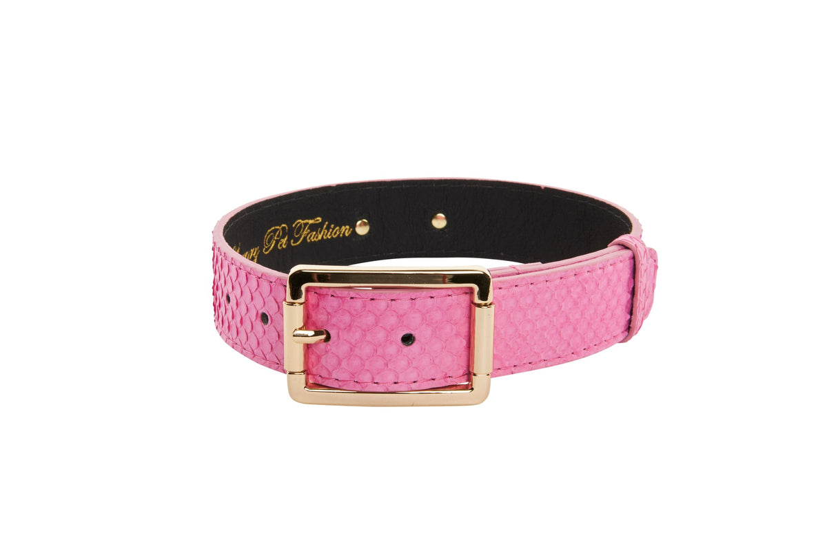 Allysa Payne Luxury Pet Fashion Neon Pink Snake Dog Collar With Our Modern Gold Hardware