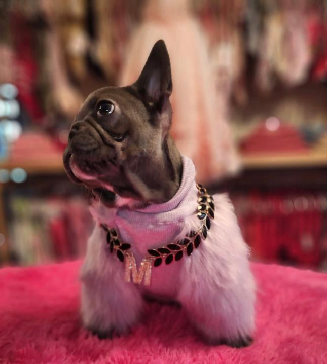 The Veronica Necklace